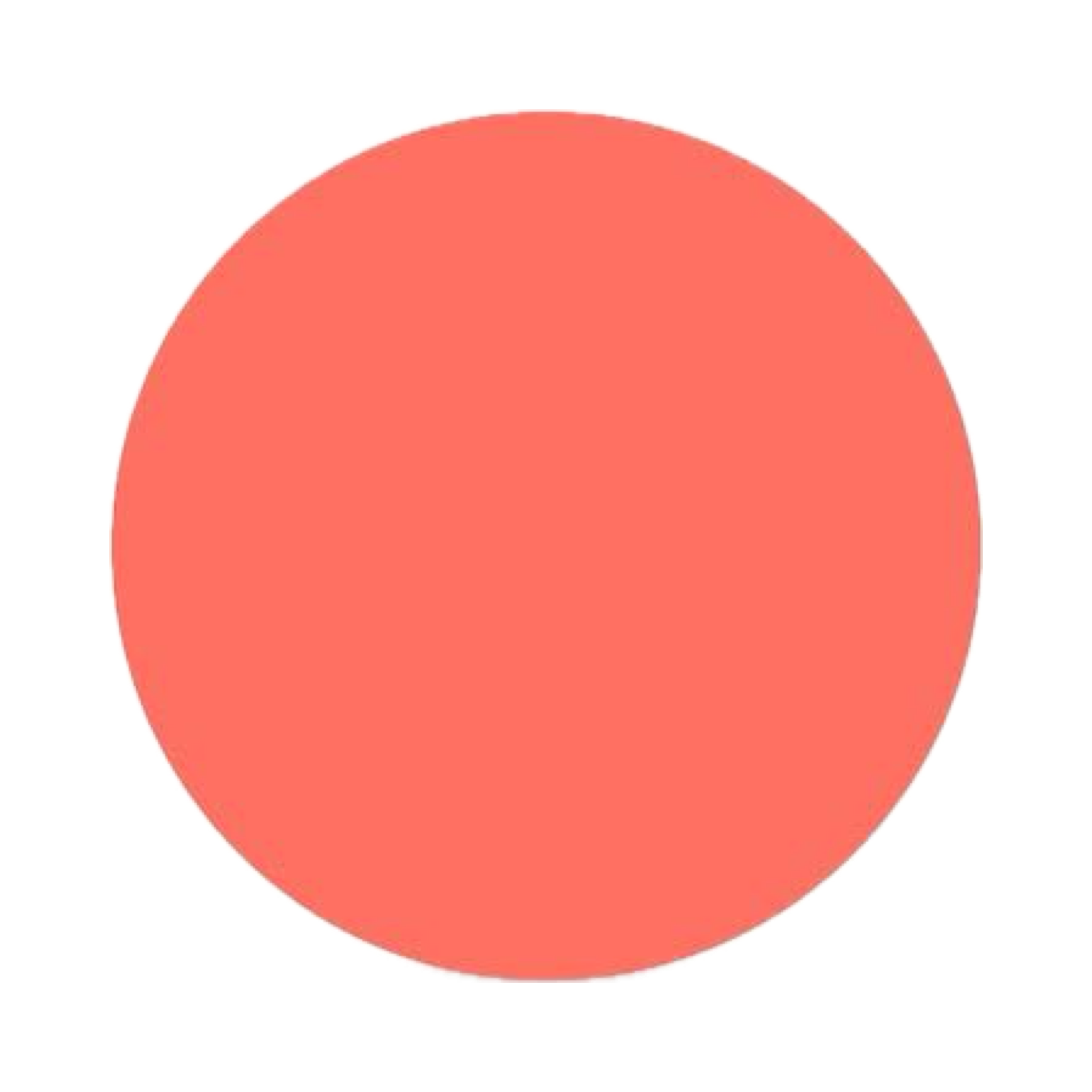 Camisa Térmica de Cuello Alto con Felpa