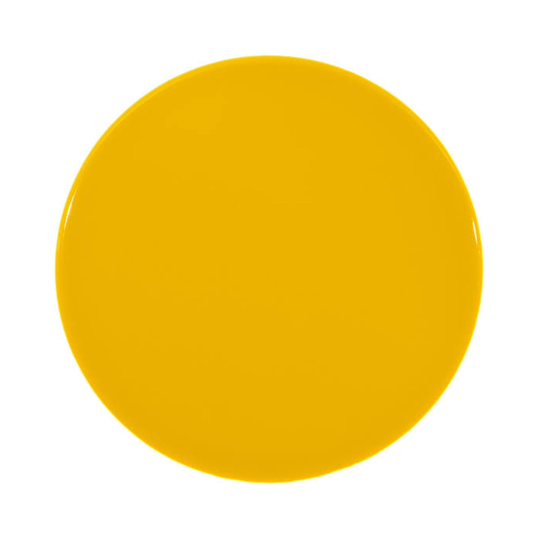 Camisa Térmica de Cuello Redondo con Felpa