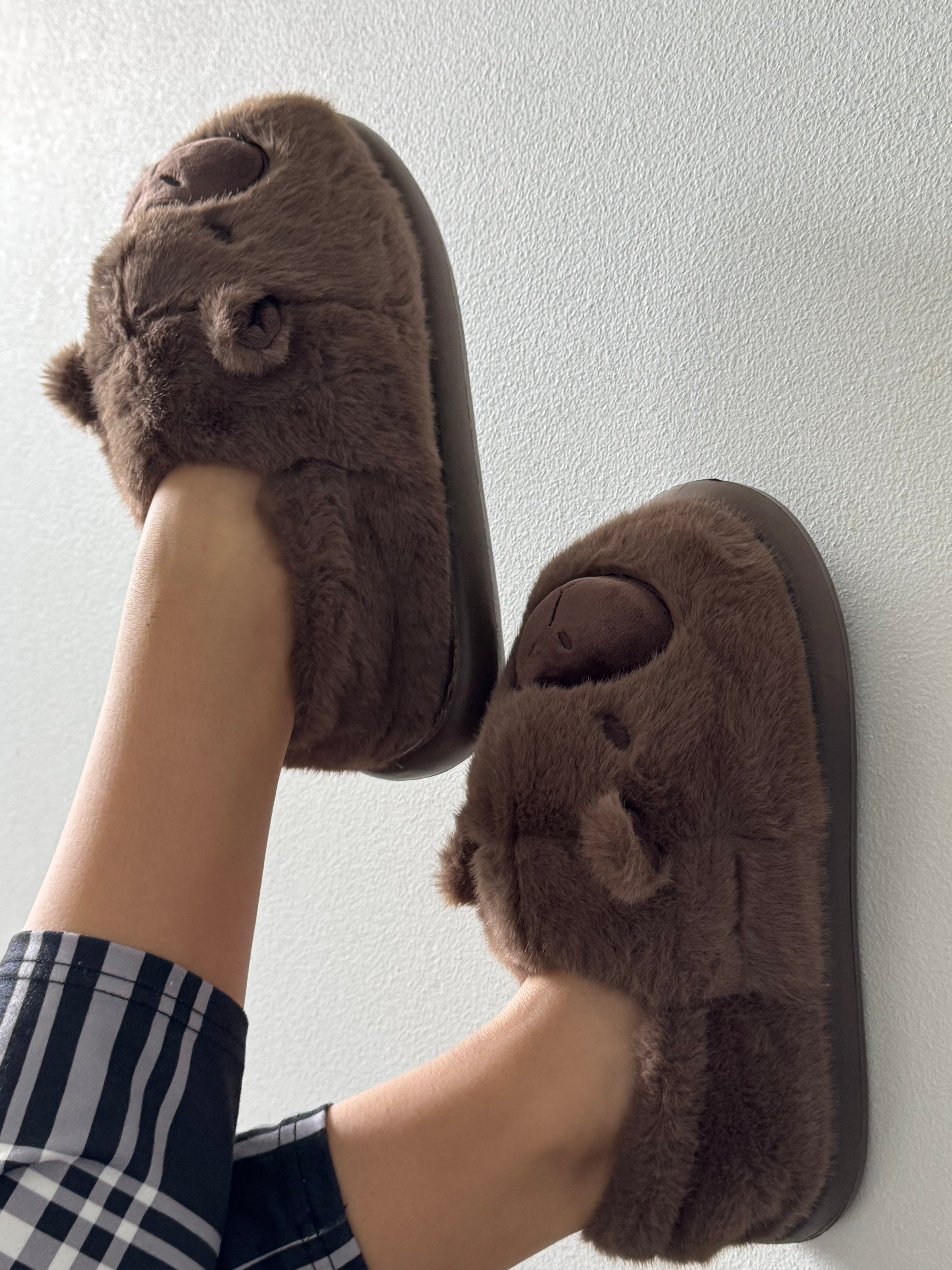 Pantuflas Capibara tallas grandes