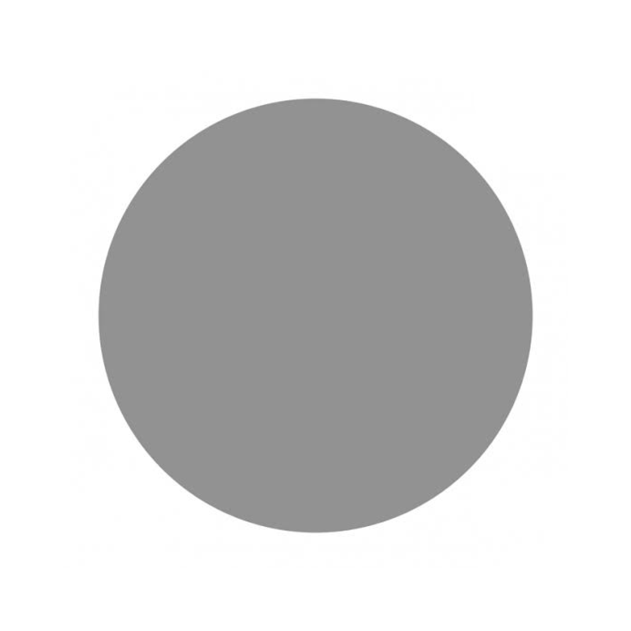 Camisa Térmica de Cuello Redondo